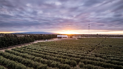 SolFrut Area with a beautyful sunset